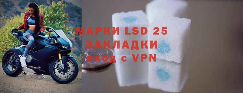 Лсд 25 экстази ecstasy  Злынка 